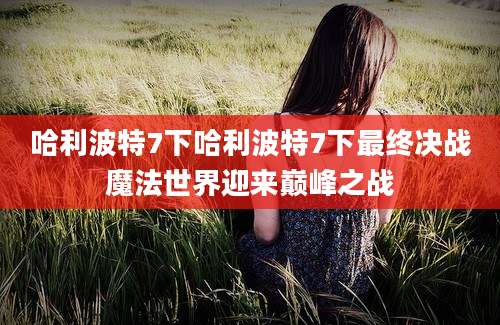 哈利波特7下哈利波特7下最终决战魔法世界迎来巅峰之战