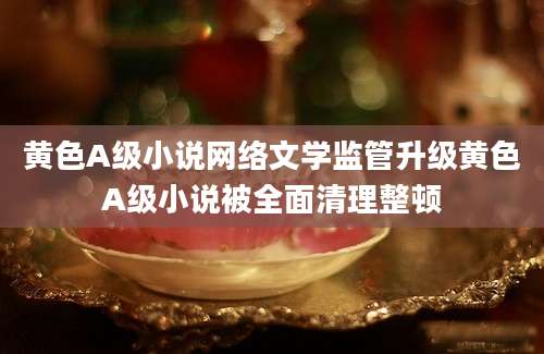 黄色A级小说网络文学监管升级黄色A级小说被全面清理整顿