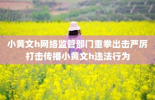 小黄文h网络监管部门重拳出击严厉打击传播小黄文h违法行为