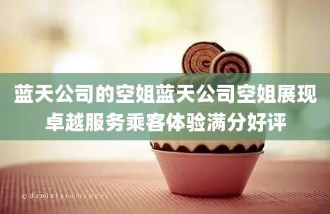蓝天公司的空姐蓝天公司空姐展现卓越服务乘客体验满分好评