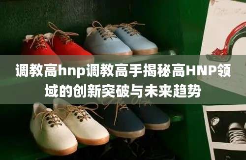 调教高hnp调教高手揭秘高HNP领域的创新突破与未来趋势
