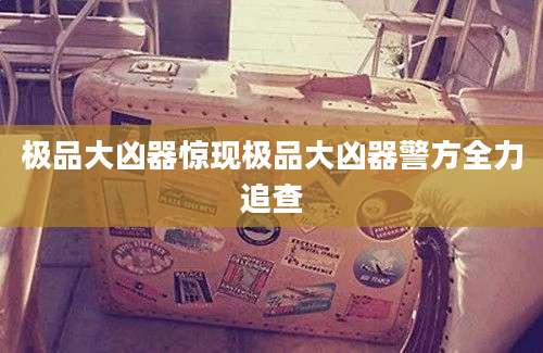 极品大凶器惊现极品大凶器警方全力追查
