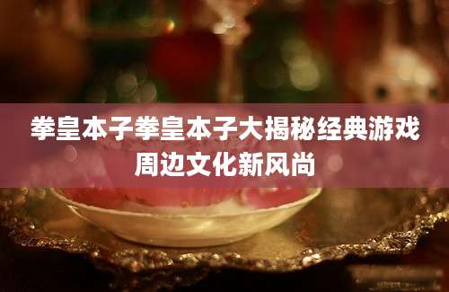 拳皇本子拳皇本子大揭秘经典游戏周边文化新风尚
