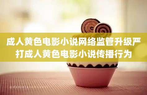 成人黄色电影小说网络监管升级严打成人黄色电影小说传播行为