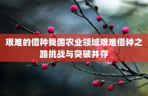 艰难的借种我国农业领域艰难借种之路挑战与突破并存