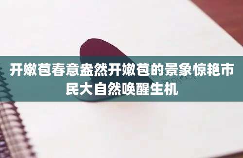 开嫩苞春意盎然开嫩苞的景象惊艳市民大自然唤醒生机