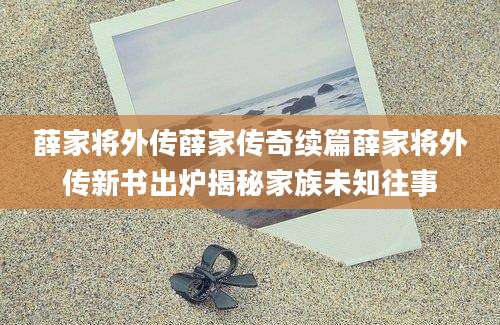 薛家将外传薛家传奇续篇薛家将外传新书出炉揭秘家族未知往事