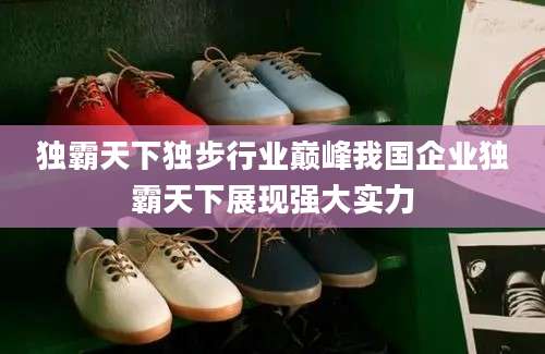独霸天下独步行业巅峰我国企业独霸天下展现强大实力