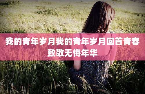 我的青年岁月我的青年岁月回首青春致敬无悔年华