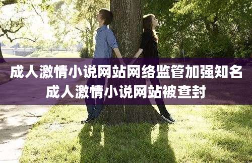 成人激情小说网站网络监管加强知名成人激情小说网站被查封