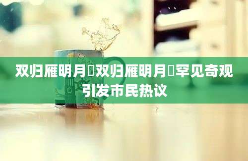 双归雁明月珰双归雁明月珰罕见奇观引发市民热议