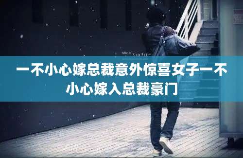 一不小心嫁总裁意外惊喜女子一不小心嫁入总裁豪门