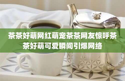 茶茶好萌网红萌宠茶茶网友惊呼茶茶好萌可爱瞬间引爆网络