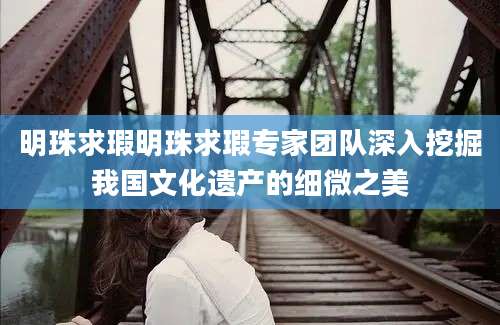 明珠求瑕明珠求瑕专家团队深入挖掘我国文化遗产的细微之美