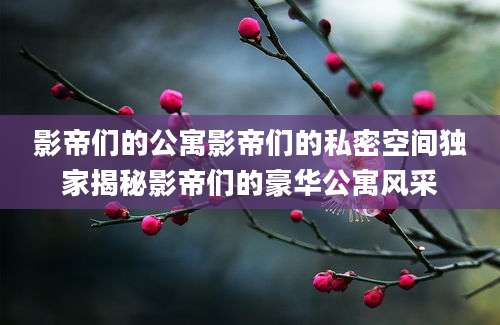 影帝们的公寓影帝们的私密空间独家揭秘影帝们的豪华公寓风采