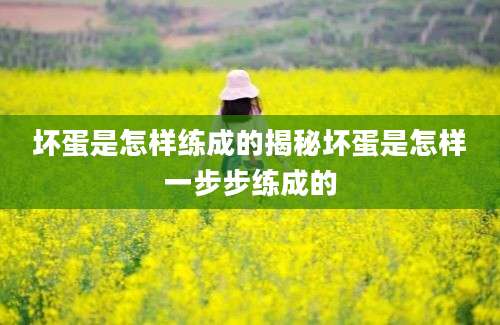 坏蛋是怎样练成的揭秘坏蛋是怎样一步步练成的