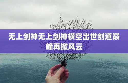 无上剑神无上剑神横空出世剑道巅峰再掀风云