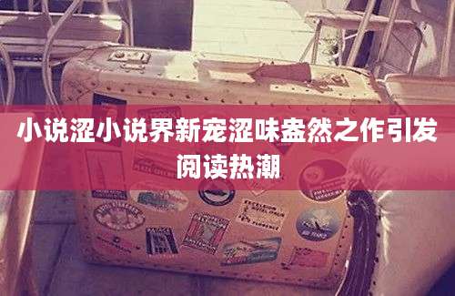 小说涩小说界新宠涩味盎然之作引发阅读热潮