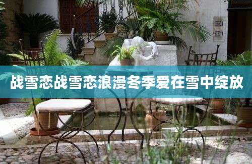 战雪恋战雪恋浪漫冬季爱在雪中绽放