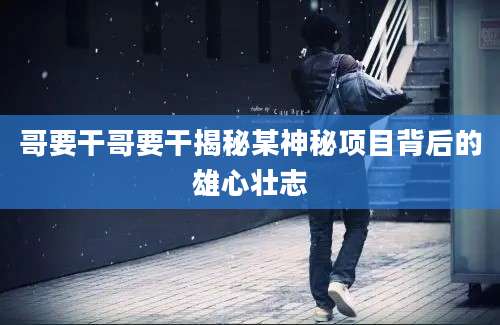 哥要干哥要干揭秘某神秘项目背后的雄心壮志