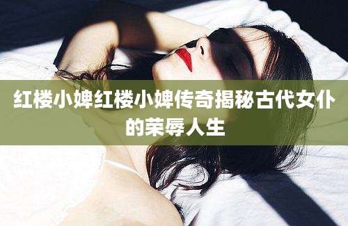 红楼小婢红楼小婢传奇揭秘古代女仆的荣辱人生