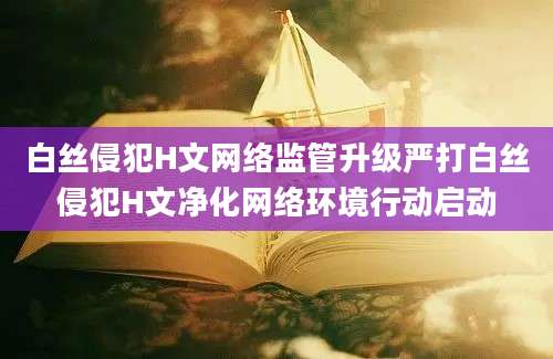 白丝侵犯H文网络监管升级严打白丝侵犯H文净化网络环境行动启动