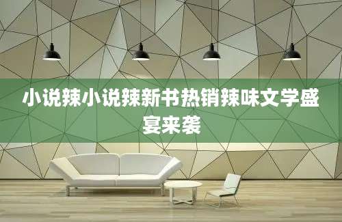 小说辣小说辣新书热销辣味文学盛宴来袭