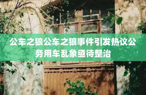 公车之狼公车之狼事件引发热议公务用车乱象亟待整治