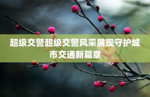 超级交警超级交警风采展现守护城市交通新篇章