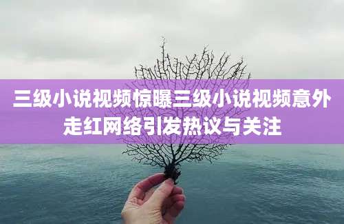 三级小说视频惊曝三级小说视频意外走红网络引发热议与关注