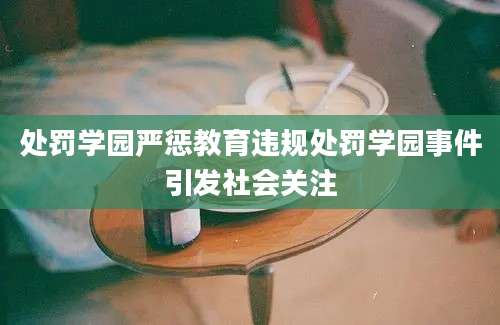 处罚学园严惩教育违规处罚学园事件引发社会关注
