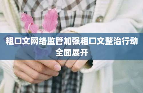 粗口文网络监管加强粗口文整治行动全面展开