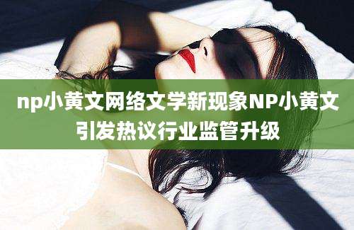 np小黄文网络文学新现象NP小黄文引发热议行业监管升级