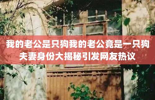 我的老公是只狗我的老公竟是一只狗夫妻身份大揭秘引发网友热议