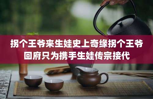 拐个王爷来生娃史上奇缘拐个王爷回府只为携手生娃传宗接代
