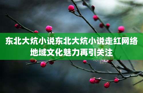 东北大炕小说东北大炕小说走红网络地域文化魅力再引关注