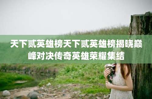 天下贰英雄榜天下贰英雄榜揭晓巅峰对决传奇英雄荣耀集结