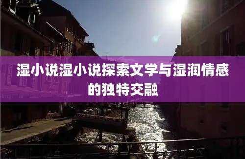 湿小说湿小说探索文学与湿润情感的独特交融
