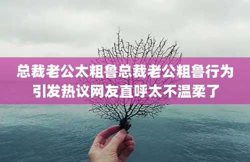 总裁老公太粗鲁总裁老公粗鲁行为引发热议网友直呼太不温柔了