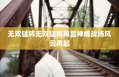 无双猛将无双猛将再显神威战场风云再起