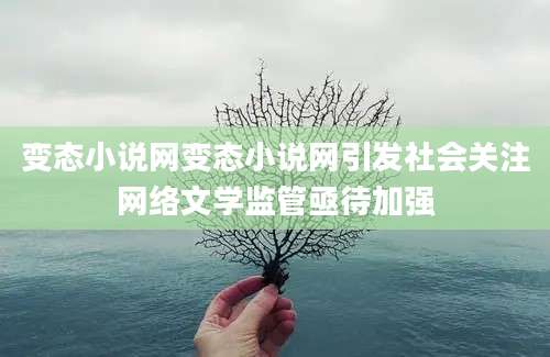 变态小说网变态小说网引发社会关注网络文学监管亟待加强