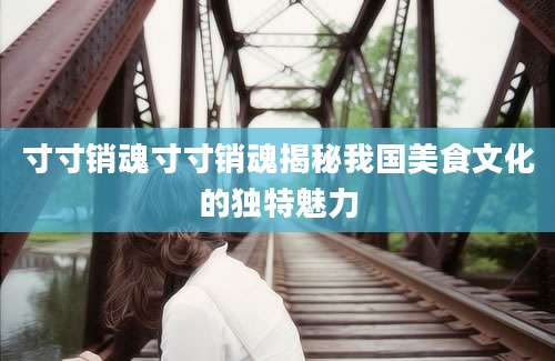 寸寸销魂寸寸销魂揭秘我国美食文化的独特魅力