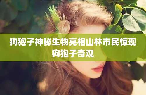 狗狍子神秘生物亮相山林市民惊现狗狍子奇观