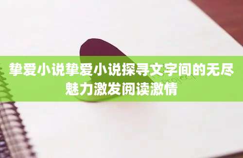 挚爱小说挚爱小说探寻文字间的无尽魅力激发阅读激情