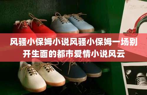 风骚小保姆小说风骚小保姆一场别开生面的都市爱情小说风云
