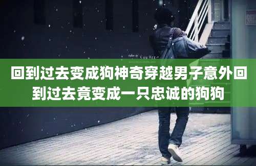 回到过去变成狗神奇穿越男子意外回到过去竟变成一只忠诚的狗狗