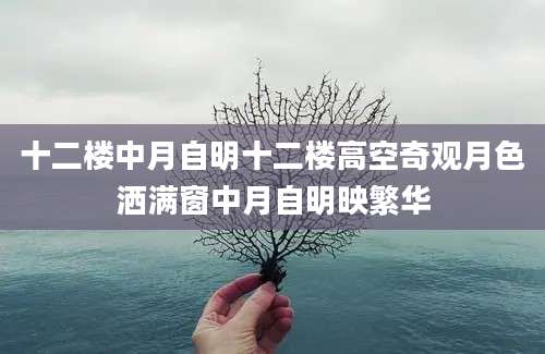 十二楼中月自明十二楼高空奇观月色洒满窗中月自明映繁华