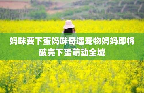 妈咪要下蛋妈咪奇遇宠物妈妈即将破壳下蛋萌动全城