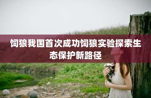 饲狼我国首次成功饲狼实验探索生态保护新路径