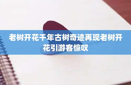 老树开花千年古树奇迹再现老树开花引游客惊叹